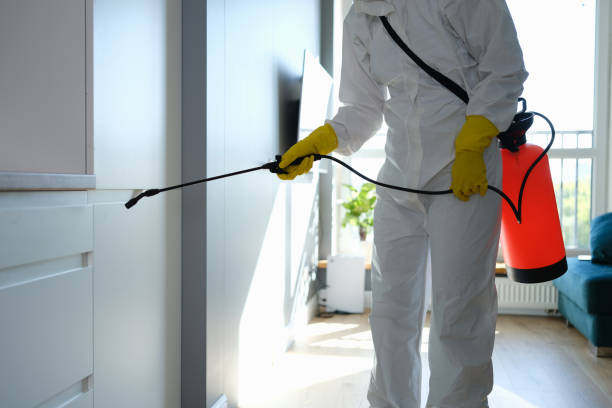 Best Residential Mold Removal  in Iola, KS